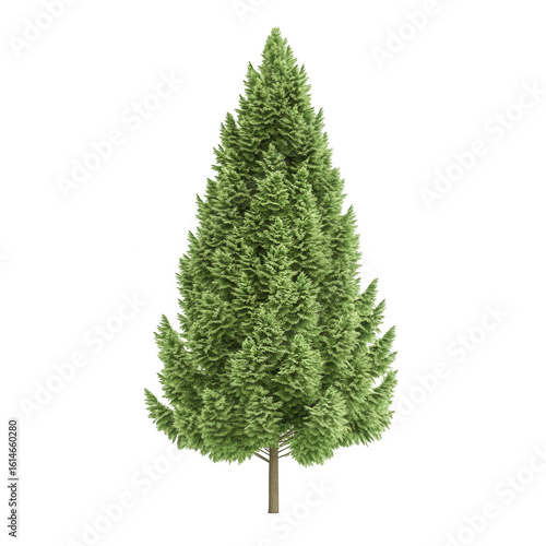 Full green Christmas tree, pointed top