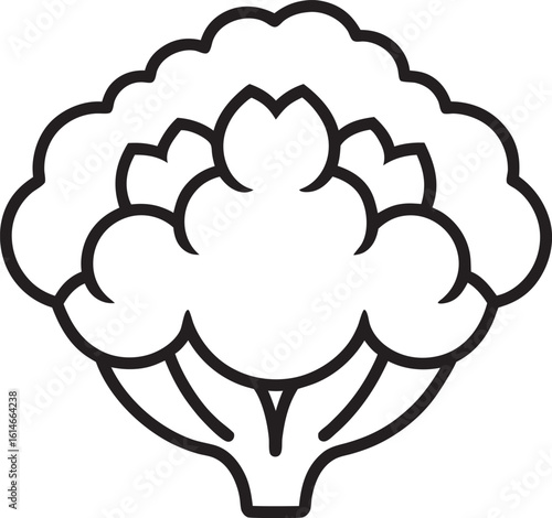 Whole and sliced fresh cauliflower vegetable thin line Icon - editable stroke
