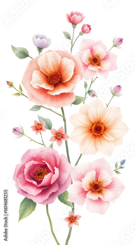 Vertical botanical art of blooming flowers. A delicate hand-painted watercolor illustration with pink and peach roses and poppies.