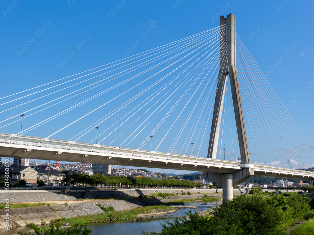 Obraz premium 県境を流れる猪名川に建つ新猪名川大橋