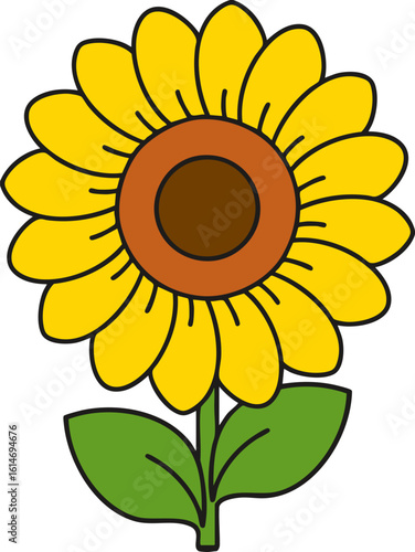 sunflower vector illustration