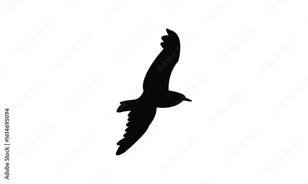 Fototapeta premium Flying American herring gull bird Silhouette Design And Vector Illustration. 