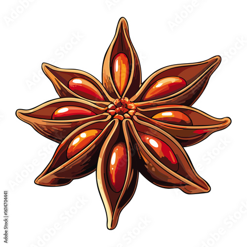 Star anise vector color illustration. Aromatic spice on isolated background for packaging and design