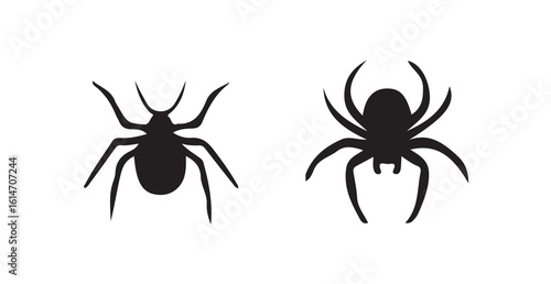 Black spider icon with sharp legs and bold outline, black spider silhouettes on a white background, vector illustration eps 10.