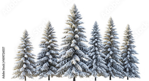 Ai generated image of a group of snowcovered evergreen trees isolated on white isolated on transparent background