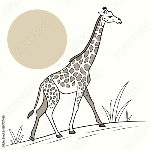 A majestic, long-necked wild giraffe stands tall in the grass, a stunning illustration of one of nature's most iconic spotted mammals