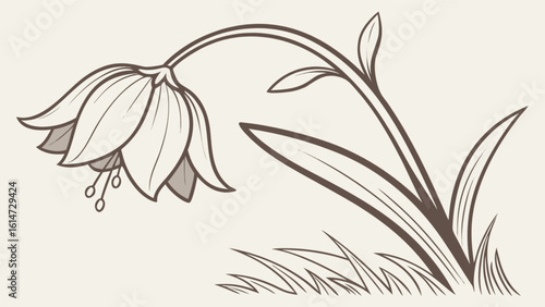 A vintagestyle illustration of a drooping flower with leaves and grass, evoking a sense of nostalgia and natural beauty in a botanical drawing