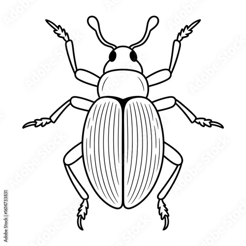A beetle illustration vector style coloring page 