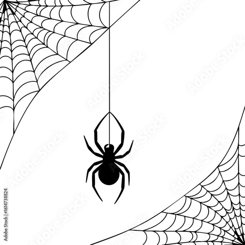 Spooky halloween scene featuring a black spider dangling from a thread amidst intricate white spiderwebs