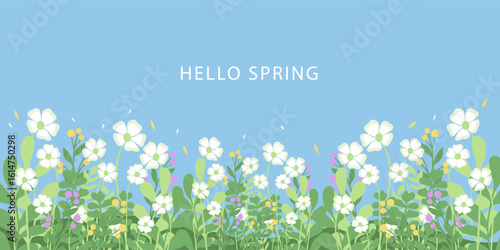 Spring or summer cards, banner with cute flowers. tropical Floral botanical art templates for holiday poster, Mother's Day, Easter and Birthday  invitation, social media post, cover, advertisement.
