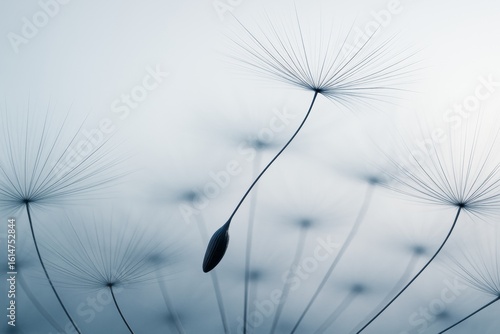 Close-up of dandelion seeds in soft light on a blurred background, symbolizing fragility, freedom, and nature's abstract beauty. © Pixels Hunter