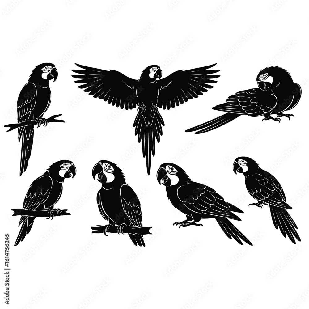 Obraz premium Collection of parrot macaw silhouettes in different poses. Vector illustration.
