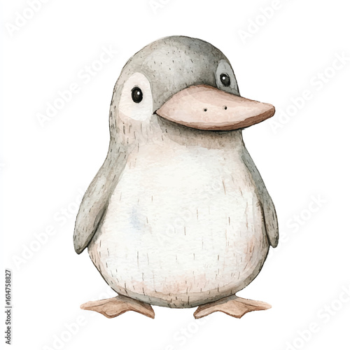 a cute animal of Platypus