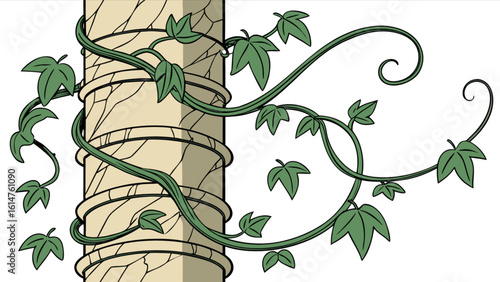 Illustration of a column with vines growing around it climbing plant nature design botanical drawing vector art