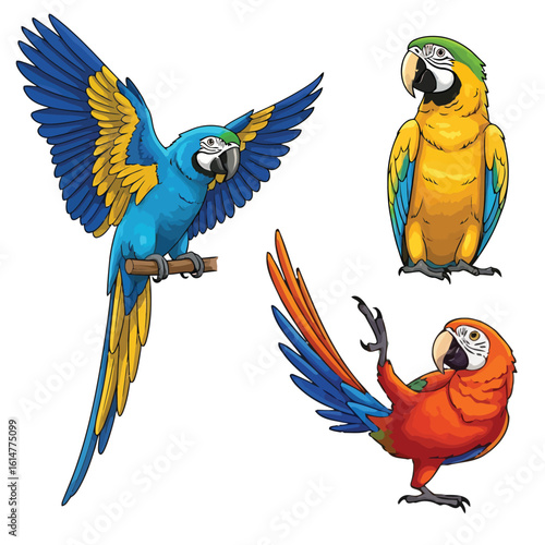 Set of colorful cartoon macaw parrot birds in various dynamic poses illustration.
