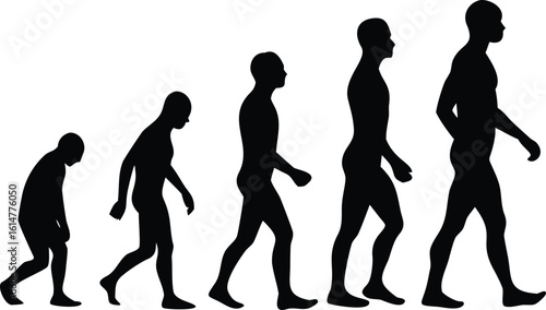 Silhouetted Stages of Human Evolution Ape to Modern Man Progressing Upright Position
