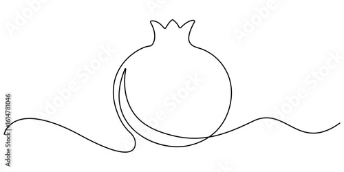 Continuous linear drawing of pomegranate. One line drawing garnet. Pomegranate in one line style. Vector illustration. 