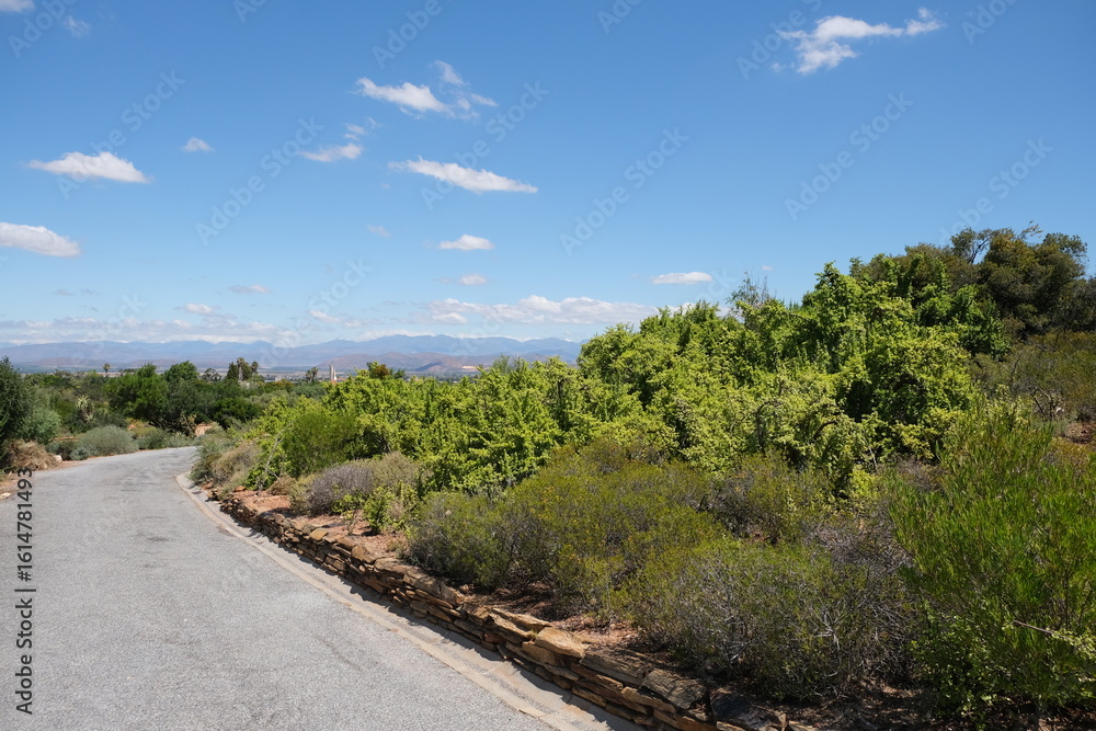 Fototapeta premium Karoo Desert Botanical Garden Vegetation and Landscapes