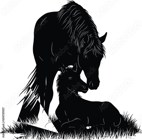Mare and Foal Horse Silhouettes Vector Illustration, Mother and Baby Equine Bond, Farm Animals, Wildlife, Nature, Black and White.
