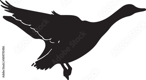 Adorable Penguin, duck.swift birds SVG Clipart Bundle