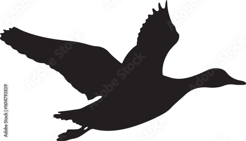 Adorable Penguin, duck.swift birds SVG Clipart Bundle