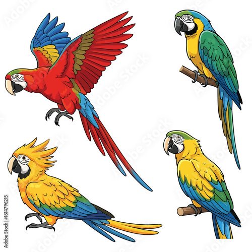 Colorful collection of exotic parrot illustrations in various dynamic poses.