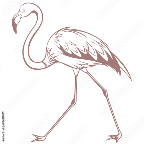 Flamingo Vector Silhouette for Tropical Wildlife and Nature Themes