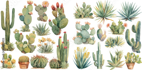 cactus watercolor clipart