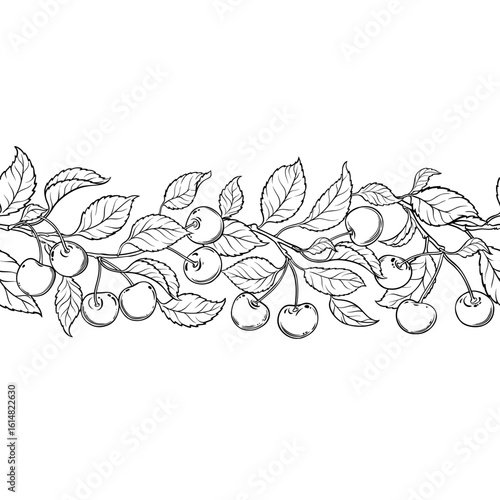 Cherry Branch with Berries and Leaves Outline Horizontal Seamless Pattern. Organic natural nutritional healthy food ingredient, vegetarian diet product. Vector isolated for design or decoration.