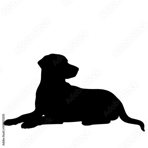 Silhouette of dog resting on white background – Pet care, animal comfort