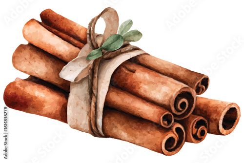 Watercolor cinnamon sticks tied with ribbon and leaves on white background spice ingredient