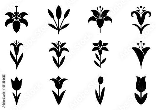 Black silhouette of Lily flower set and icon Lily flower with white background	