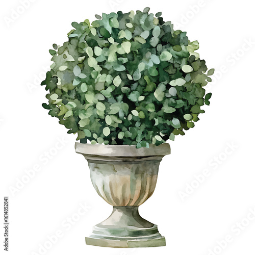 Watercolor green topiary plant in a stone urn on white background leaves