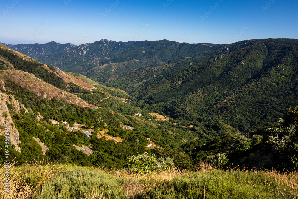 Fototapeta premium Monts d'Ardèche