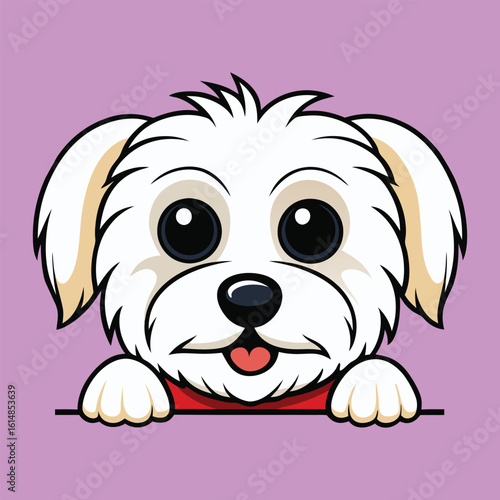 Maltese Lover's Peeking Mod dog