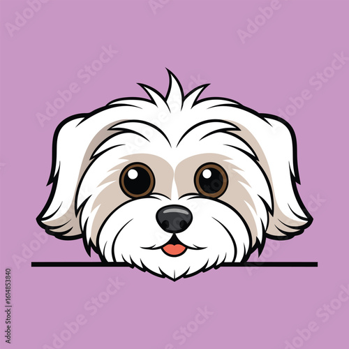 Maltese Lover's Peeking Mod dog