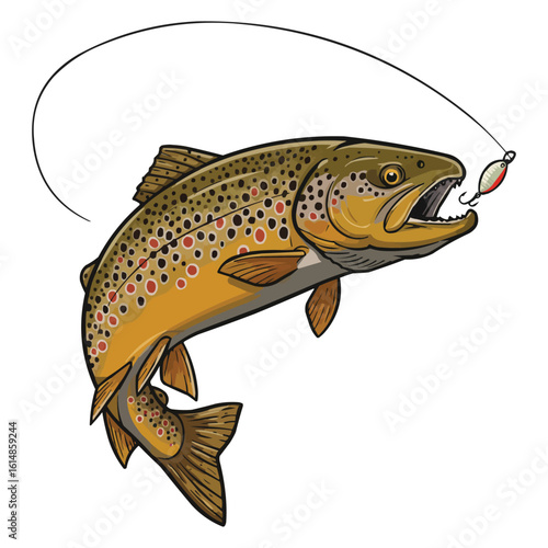 Brown Trout Caught on a Fishing Lure