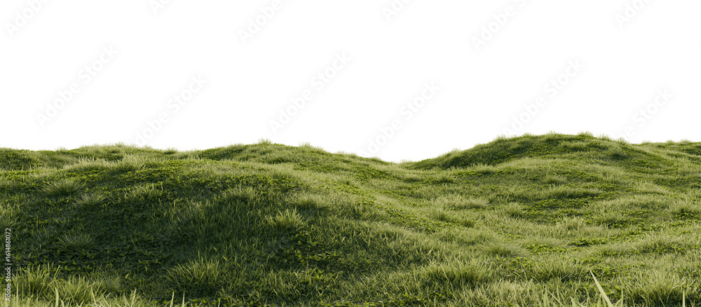 Obraz premium Hills with grass on a transparent background. 3D rendering. 