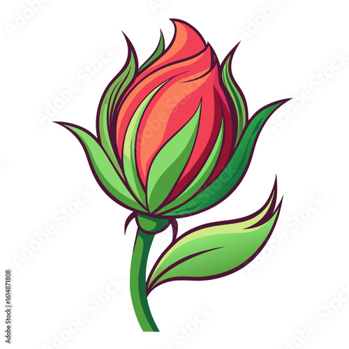 vector rose flower
