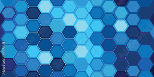 Hexagonal pattern background in blue and white, presenting a visually appealing geometric design..eps