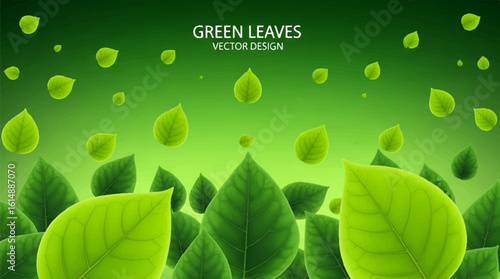 This graphic is perfect for environmental campaigns, organic product promotions, health and wellness websites, or any design needing a natural and eco-friendly aesthetic.