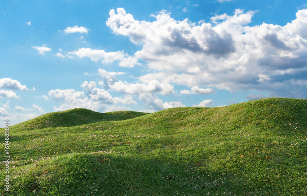 Fototapeta premium Hills with grass Under Clear Sky. 3D rendering. 