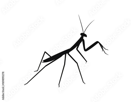 Wallpaper Mural Silhouette of a praying mantis Torontodigital.ca