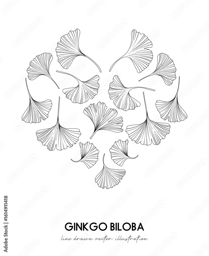 Φωτογραφία Heart Illustration of Ginkgo biloba leaves, hand drawn botanical line drawing, v