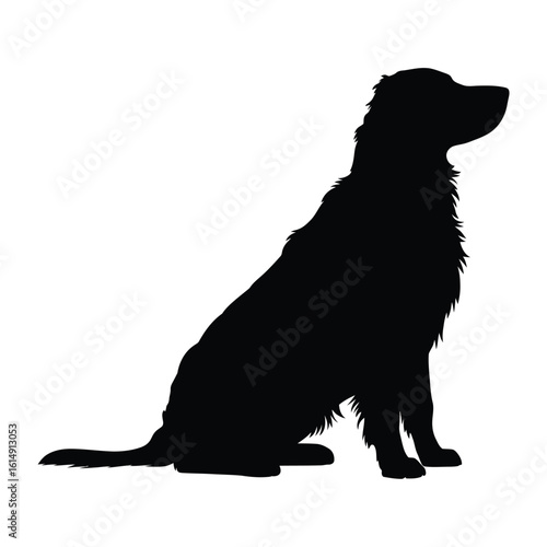 Silhouette of a golden retriever dog sitting patiently