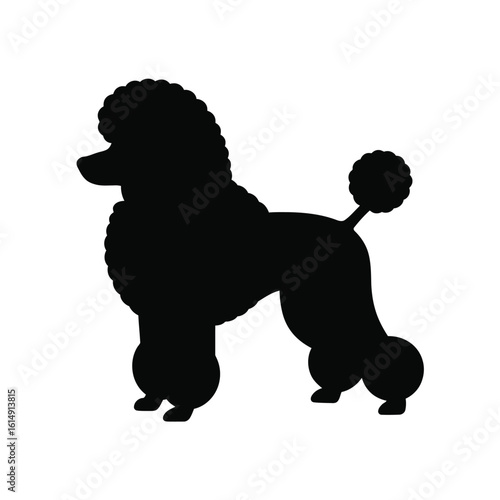 Silhouette of a poodle with a distinctive haircut