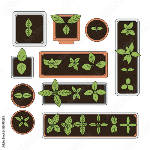 Gardening illustration showing various plants growing in rectangular square and circular pots with top down view showing soil and leaves