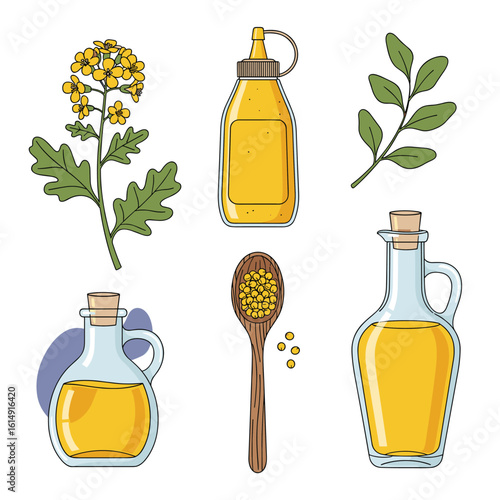 Mustard seeds plant oil condiment bottle spoon and leaf illustrations for culinary and health uses