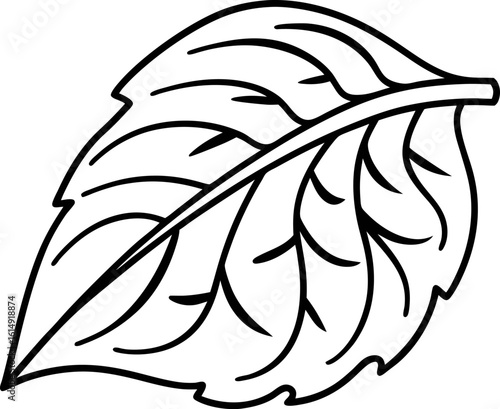 Simple outlined basil leaf illustration black and white herb contour, botanically accurate shape, healthy cooking ingredient