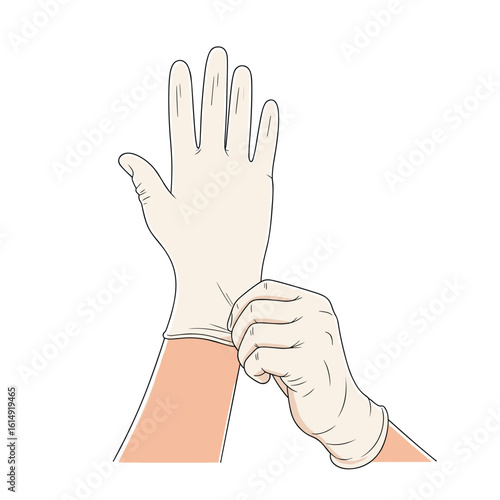 Step by step guide on how to properly put on disposable examination gloves safely